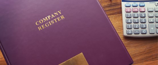 Registers of Significant Controllers and Nominee Directors for Singapore Companies
