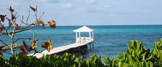 Climate Finance And Environmental Social Governance: The Bahamas Targets Net Zero