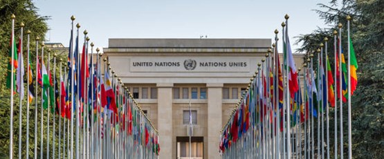 How Involved Should The UN Be In Global Tax Policy And Regulation?